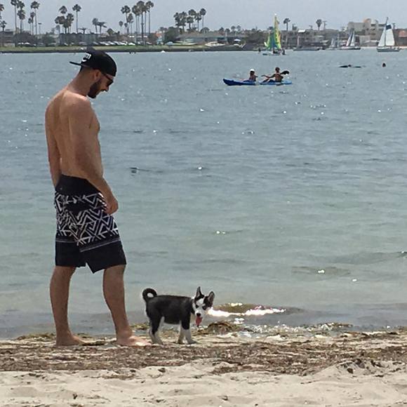 Meet your Posher, Kevin - Picture 1 of 1